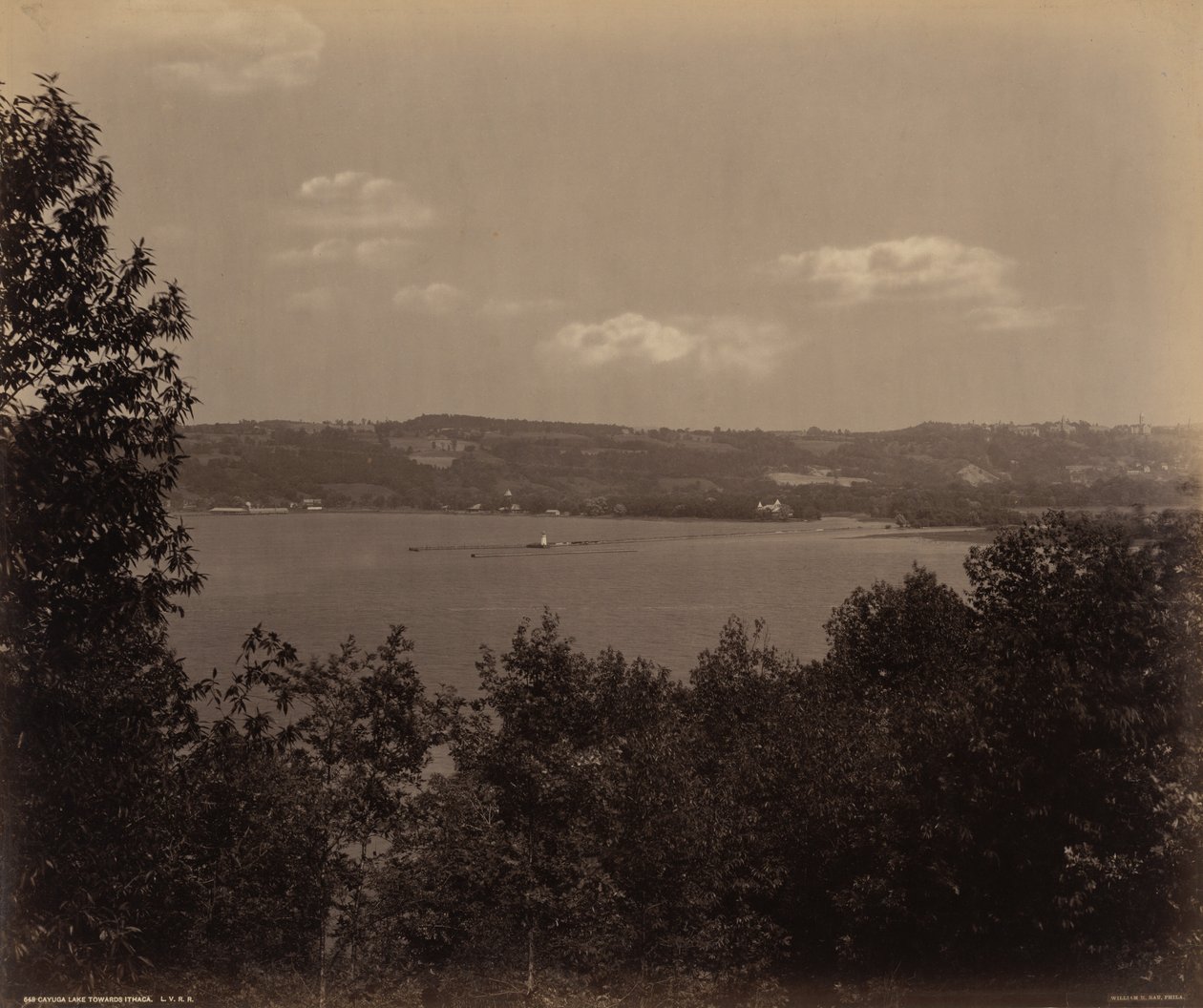 Cayuga-søen mod Ithaca af William H. Rau