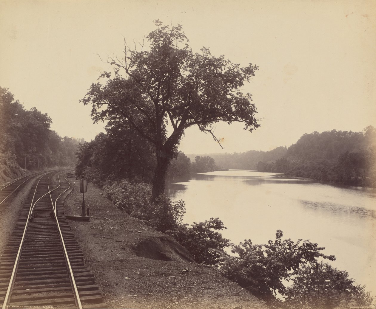 The Lehigh, At Turkey Run af William H. Rau