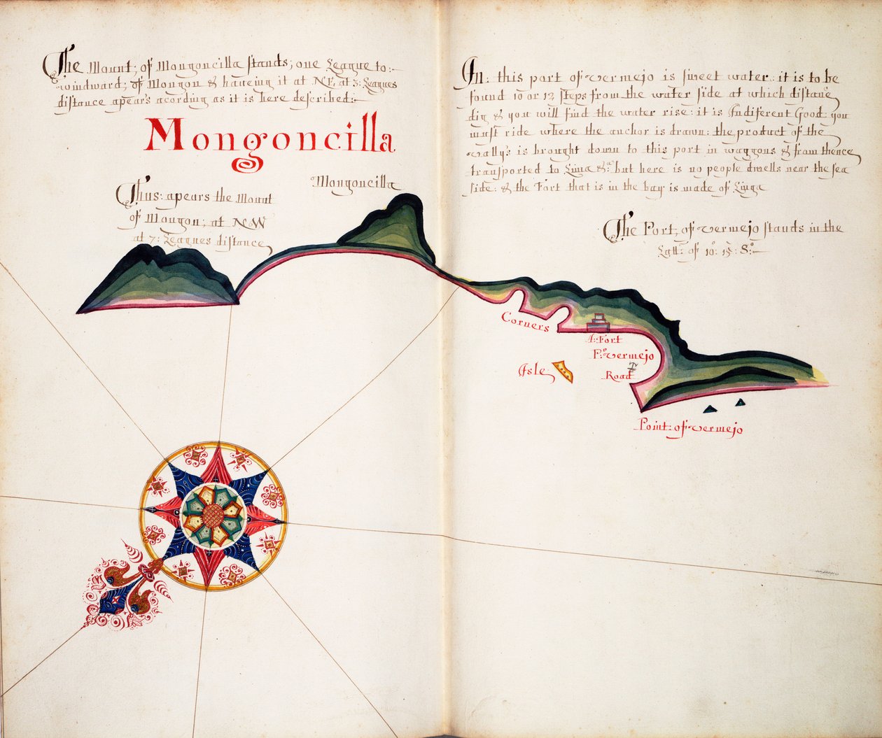 Mongoncilla af William Hack