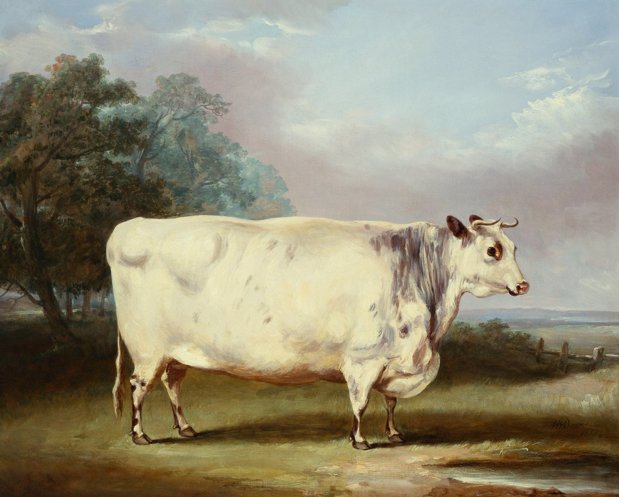 En præmieko, 1838 af William Henry Davis