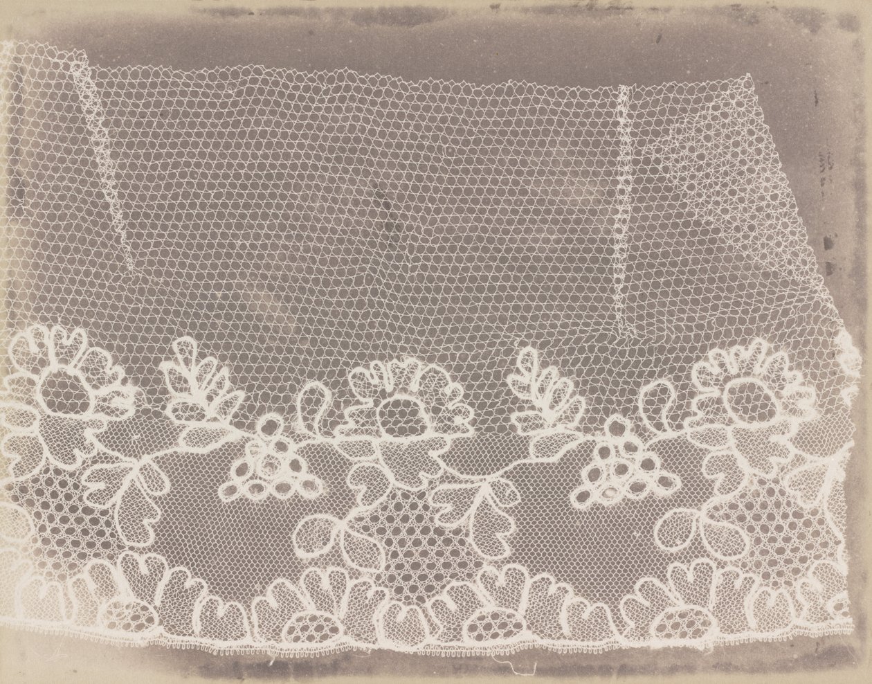 Blonder af William Henry Fox Talbot