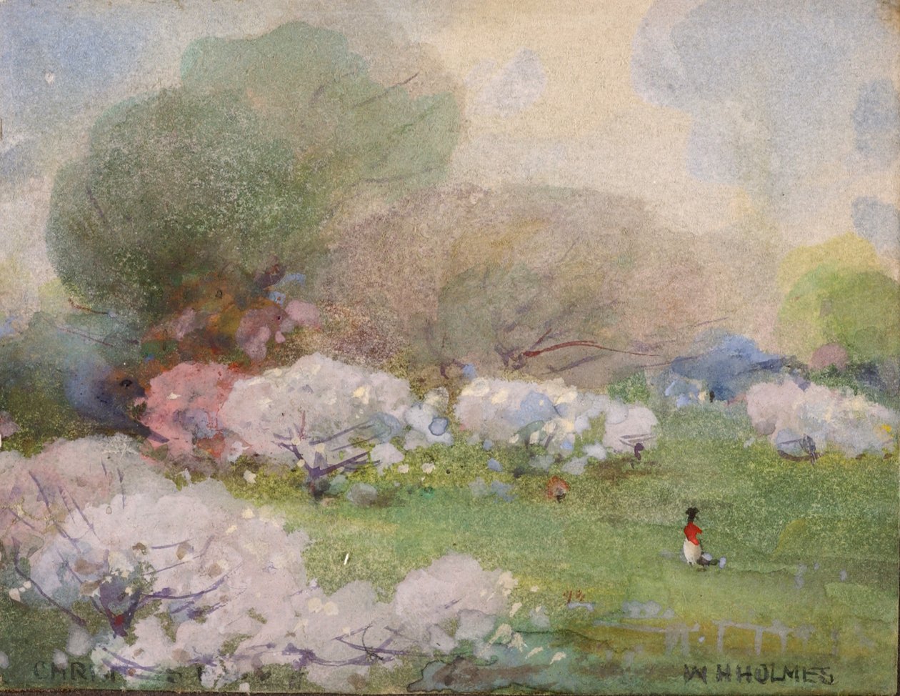Cherry Blossoms, n.d. af William Henry Holmes