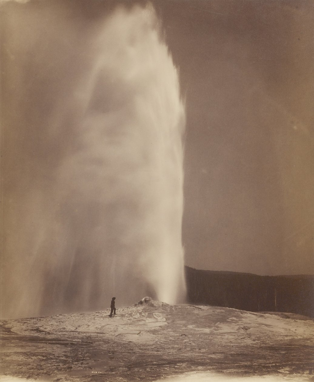 Old Faithful af William Henry Jackson