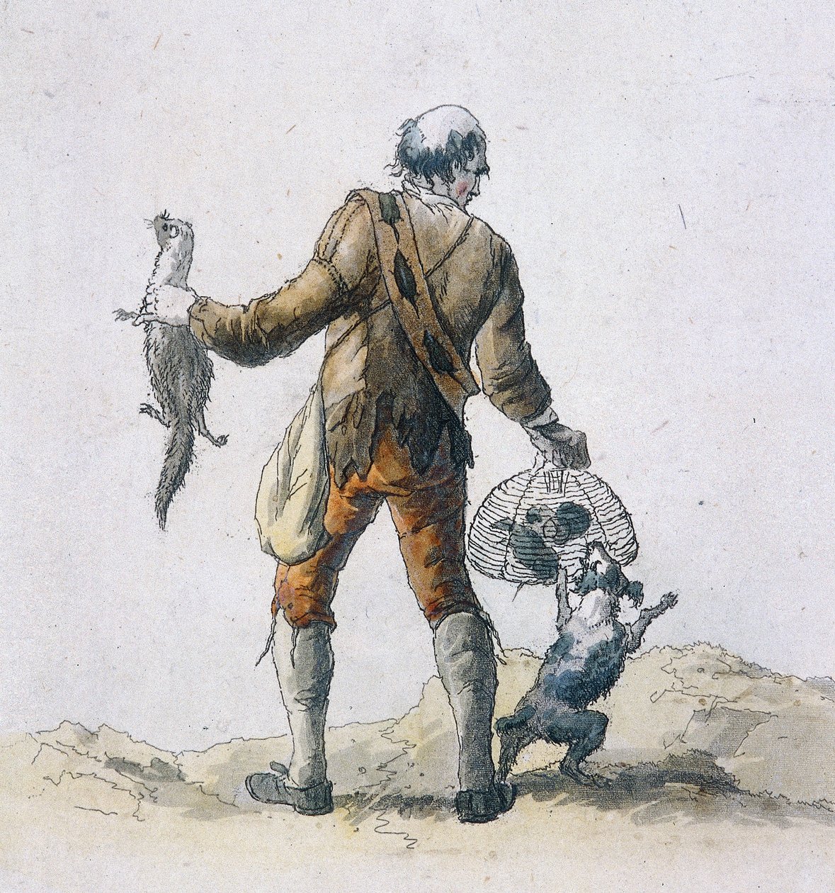 En rottefanger, Provincial Characters, 1804 af William Henry Pyne