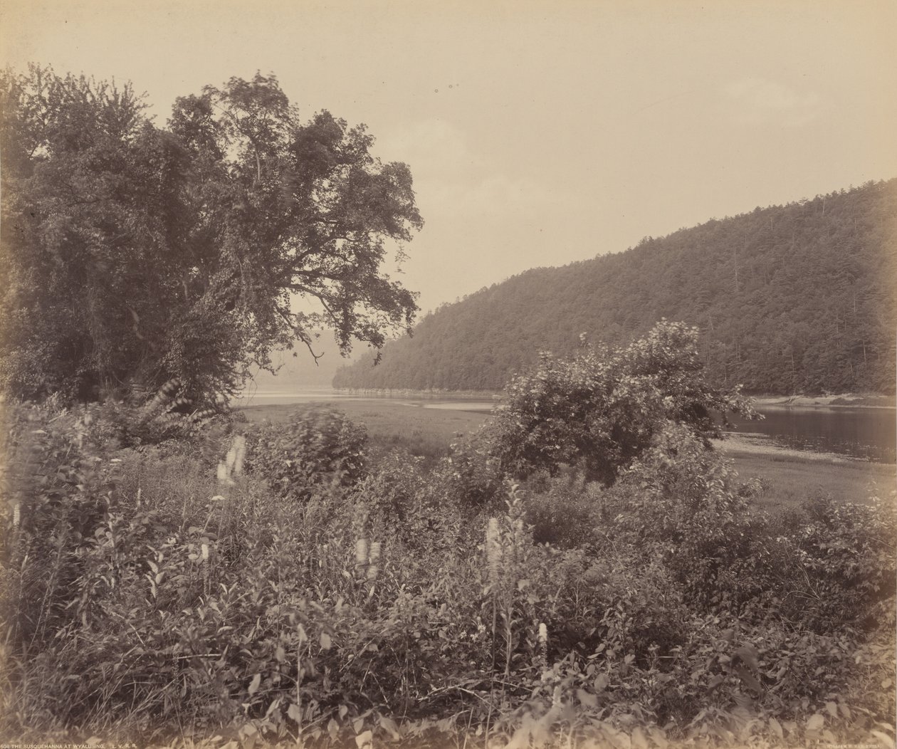 Susquehanna ved Wyalusing, ca. 1895 (foto) af William Herman Rau