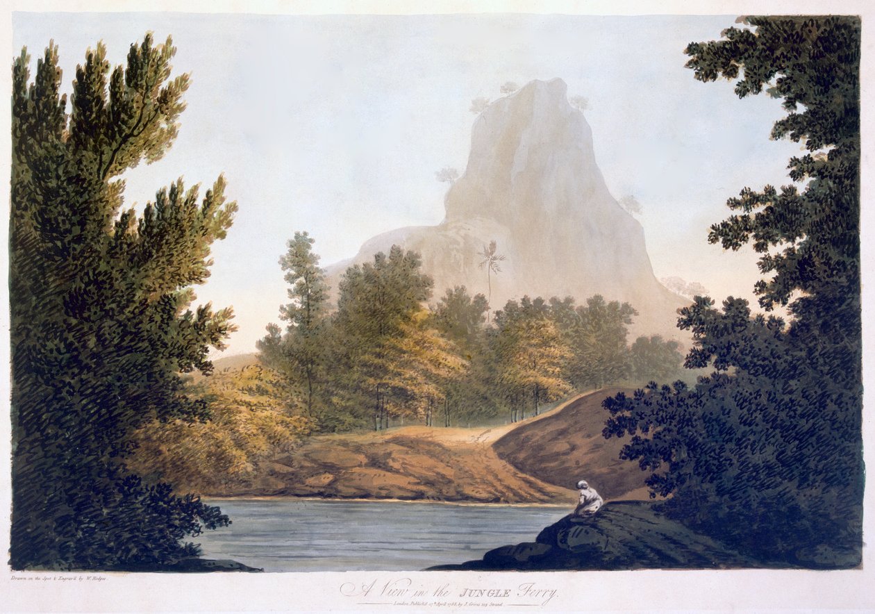 View of the Jungle, 1788 (akvatint) af William Hodges