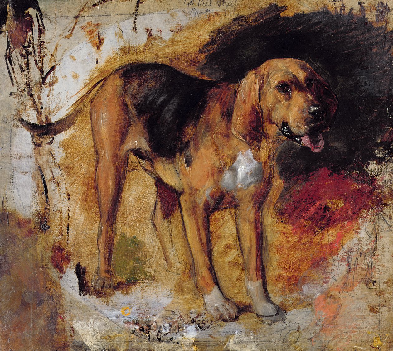 En undersøgelse af en blodhund af William Holman Hunt