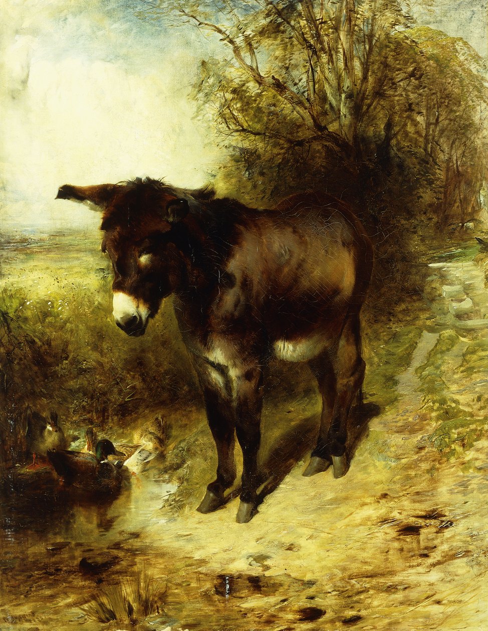 En brun undersøgelse, 1853 af William Huggins