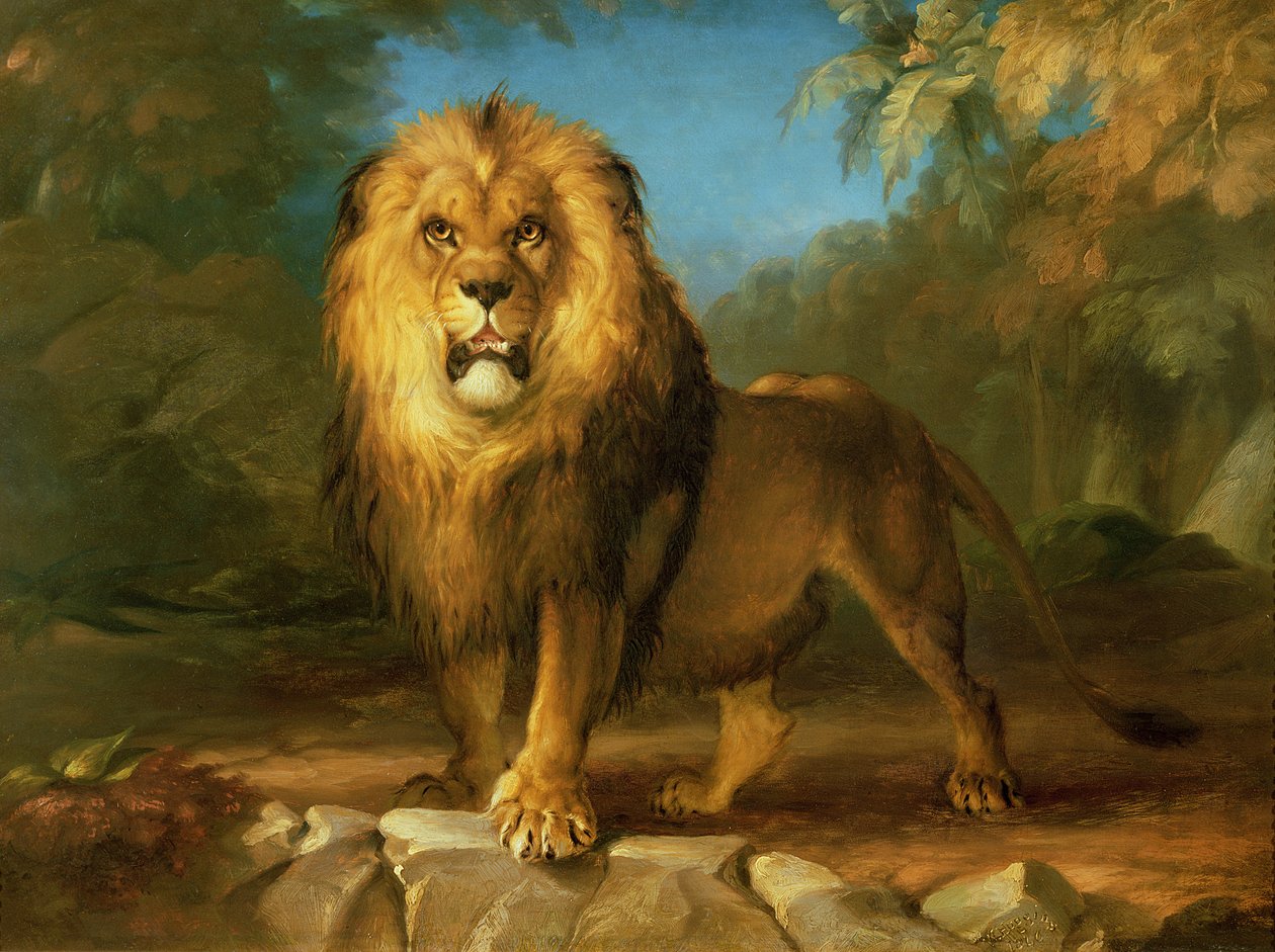 En løve, 1840 af William Huggins