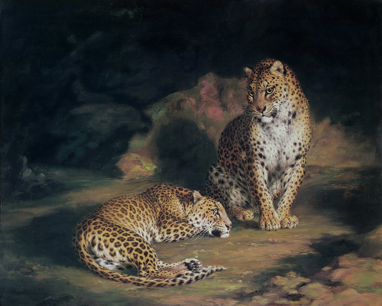 Et par leoparder, 1845 af William Huggins