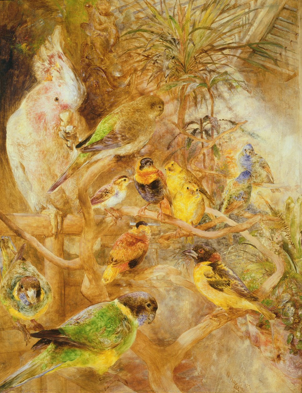 Fuglevoliere, 1871 af William Huggins
