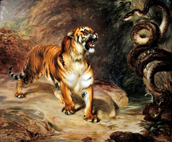 Tiger og python af William Huggins