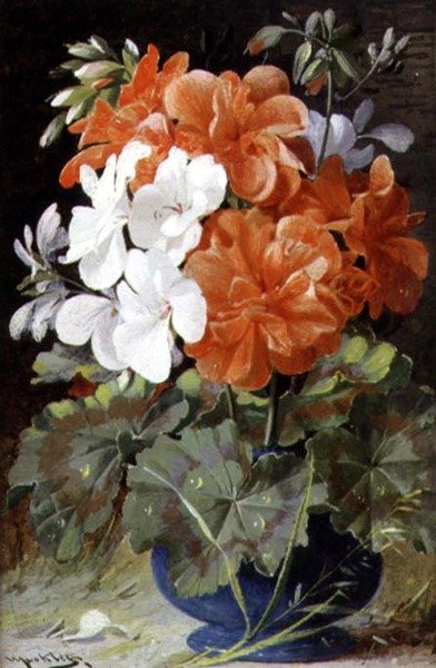 Pelargonier af William Jabez Muckley
