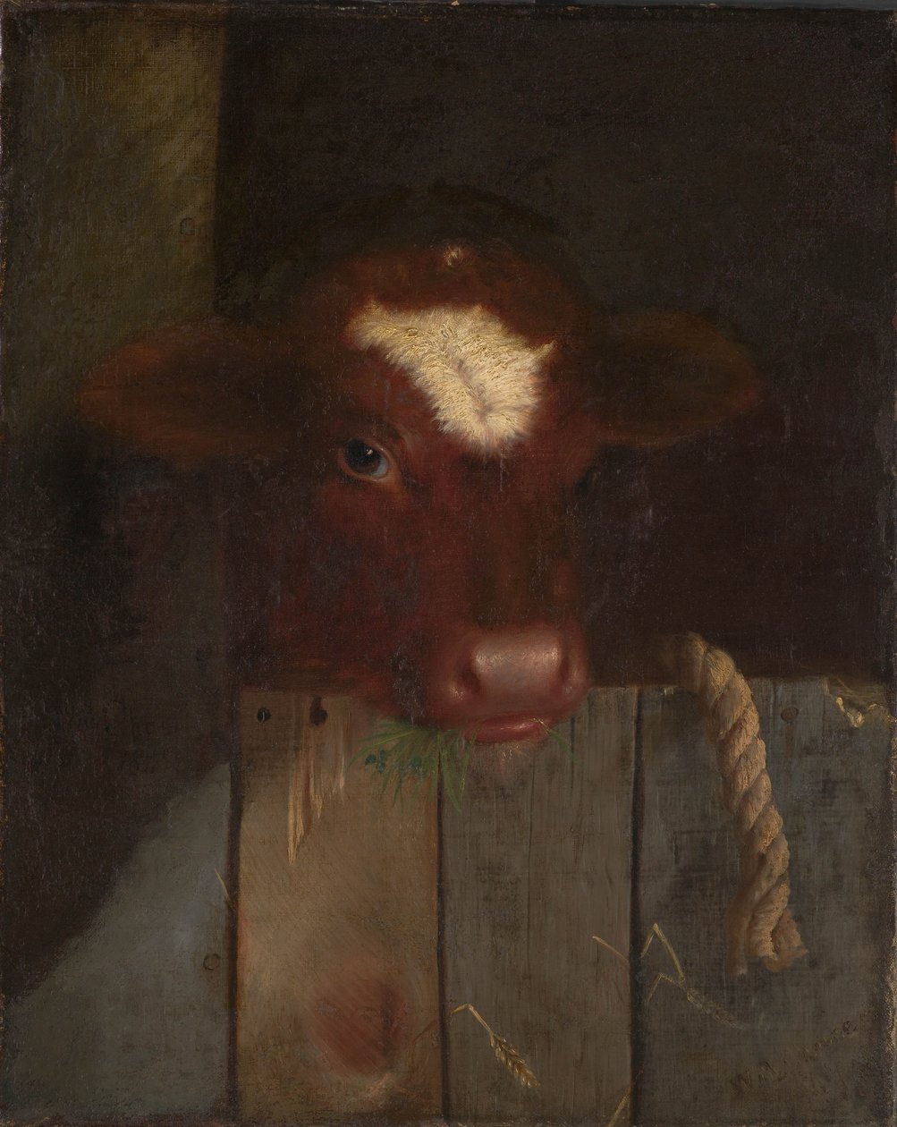 Familiens ko af William Merritt (after) Chase