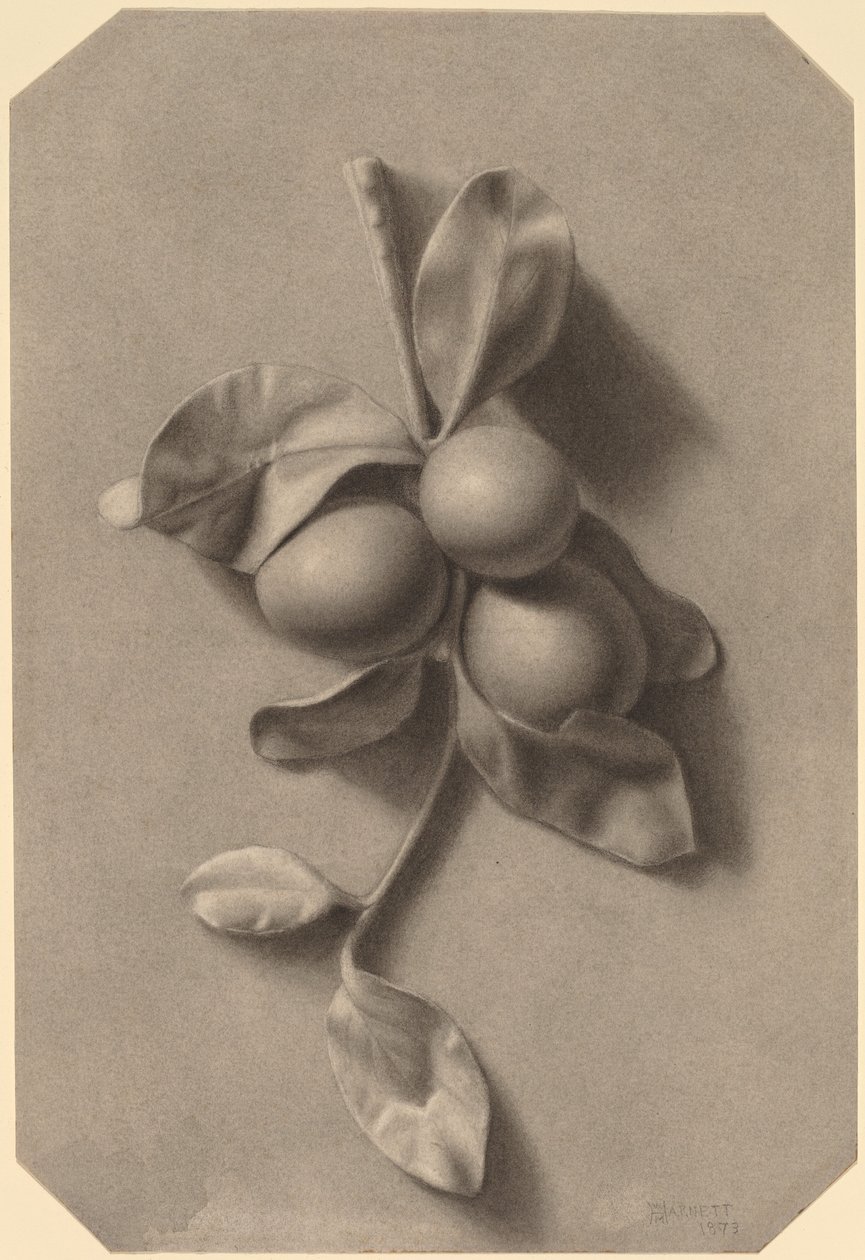 En kvist blommer af William Michael Harnett