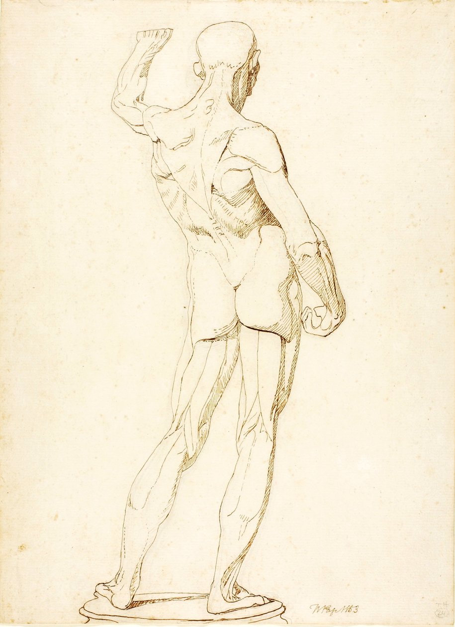 (En Ecorche, set bagfra) af William Page