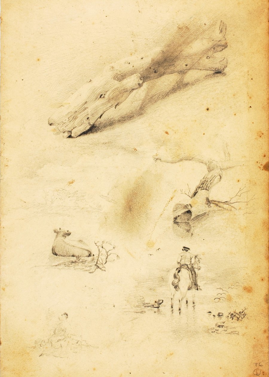 (Studier - figurer, træstamme, hest og rytter osv.) af William Page