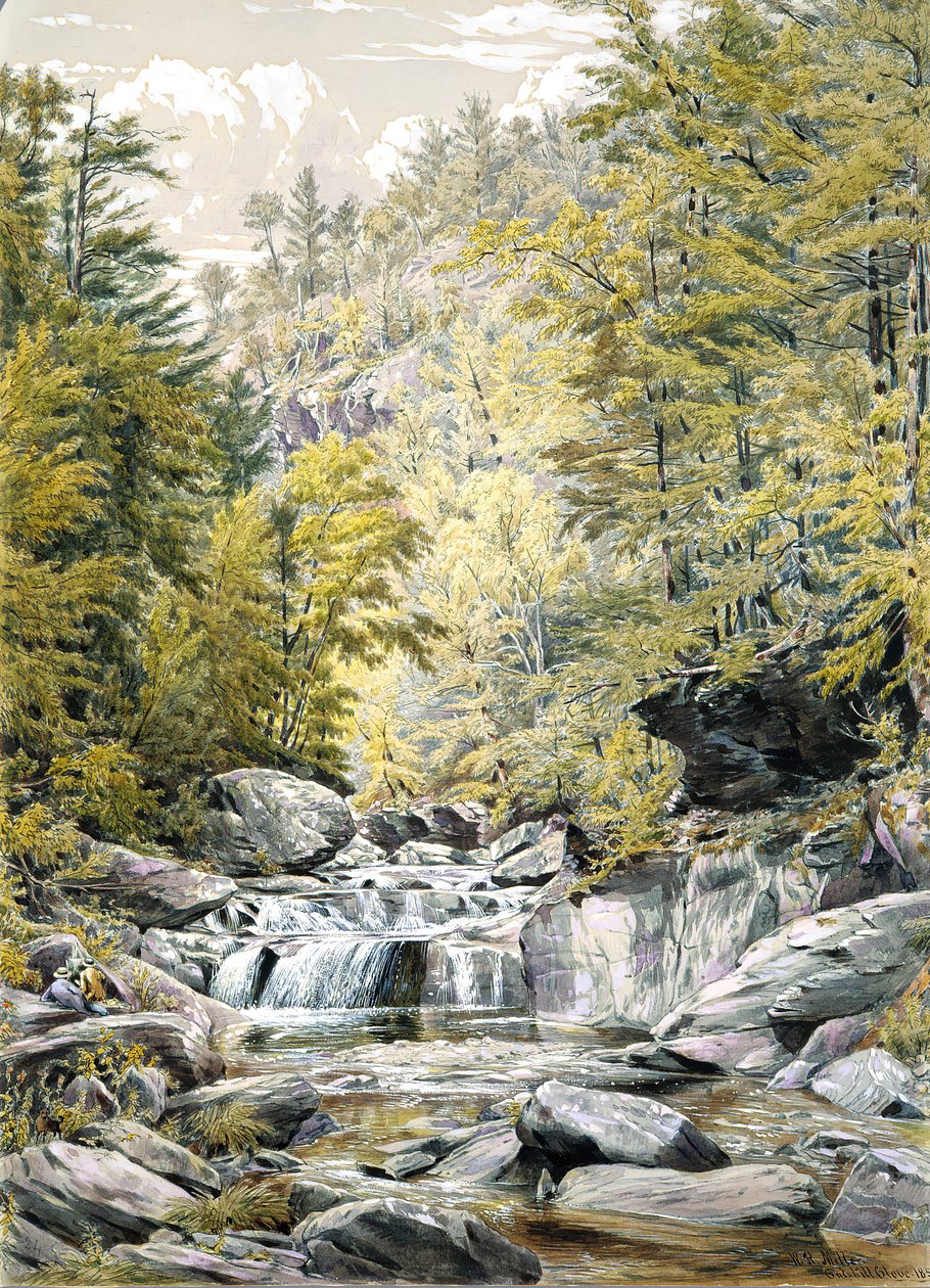 Catskill nellike, 1856. af William Rickarby Miller