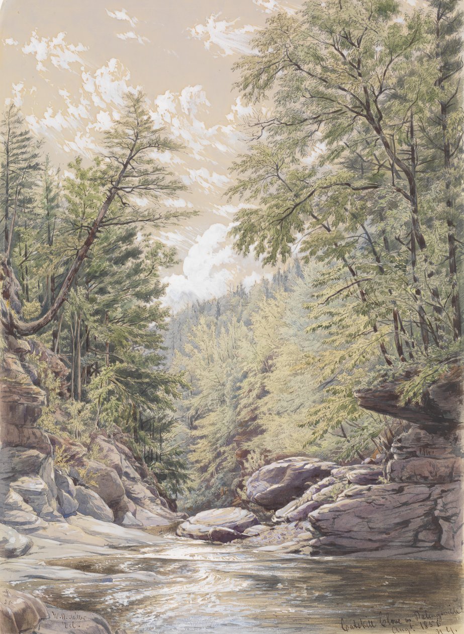 Catskill Clove i Palingsville, 1856. af William Rickarby Miller