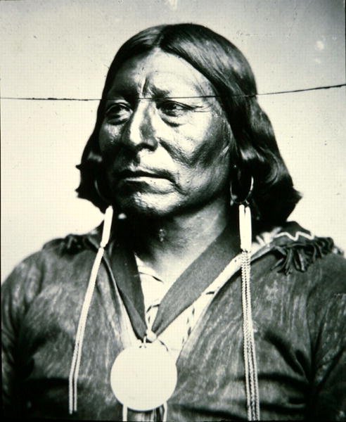 Chief 