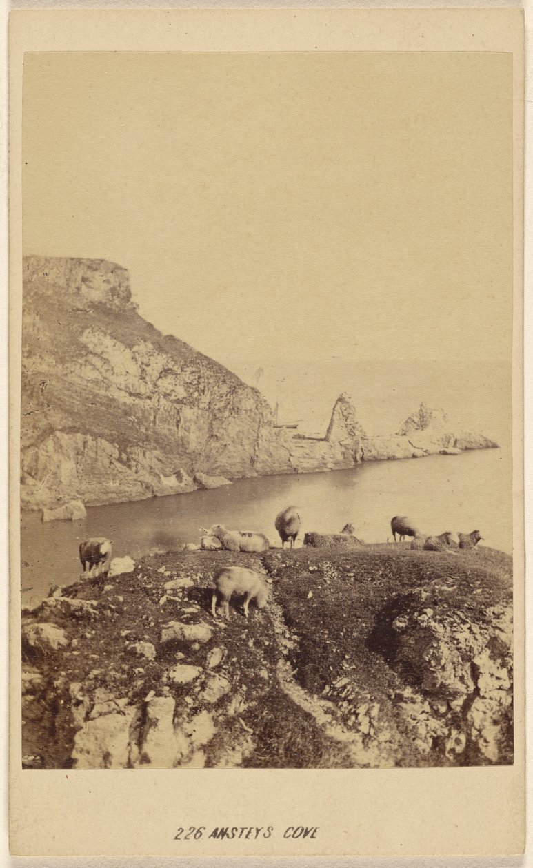 Ansteys Cave. af William Spreat