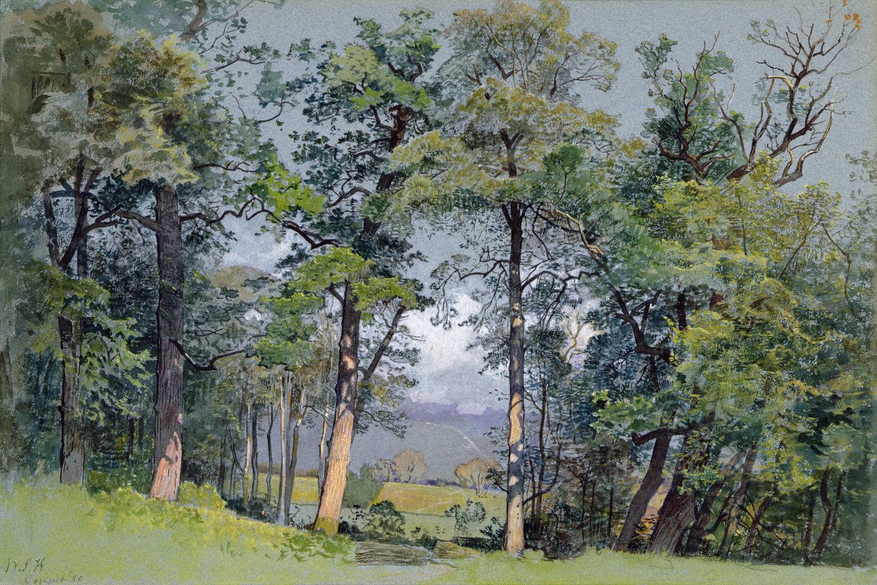 Coppet, Genèvesøen af William Stanley Haseltine