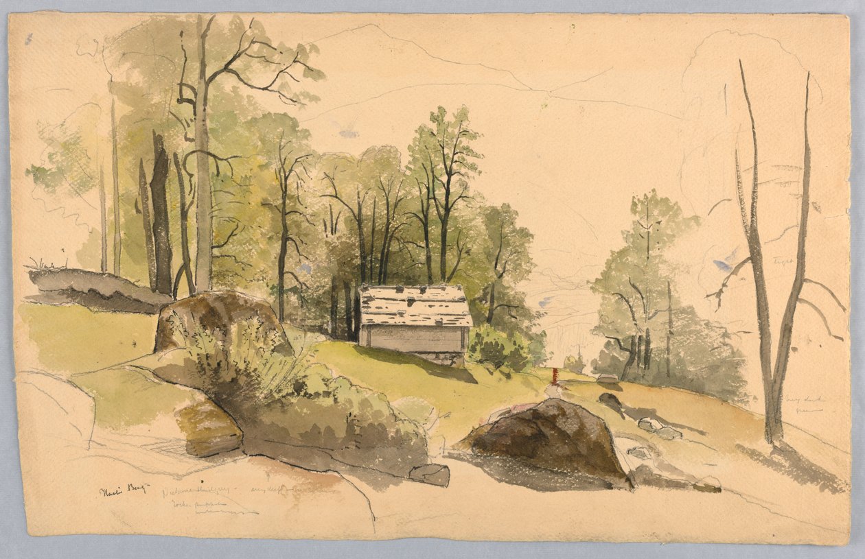 Studie for landskab, Hasliberg, Schweiz af William Stanley Haseltine