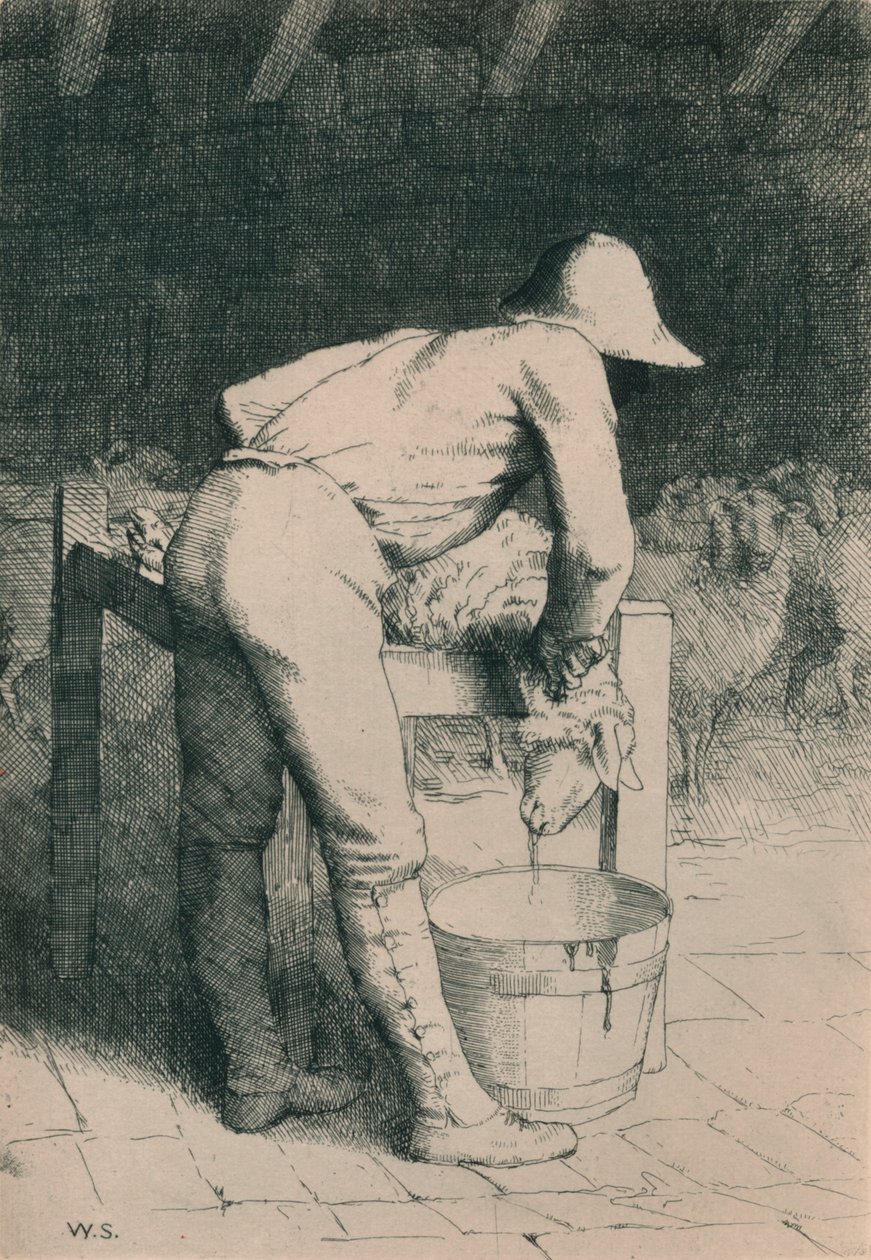 Slagteren og fårene, c1916 af William Strang