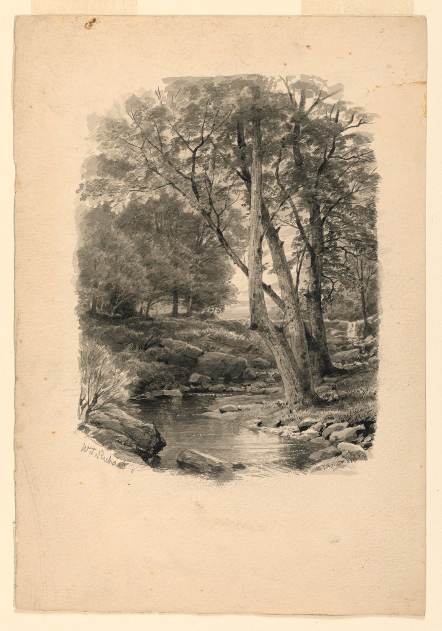 Tegning, Bassin i skoven, 1874 af William Trost Richards
