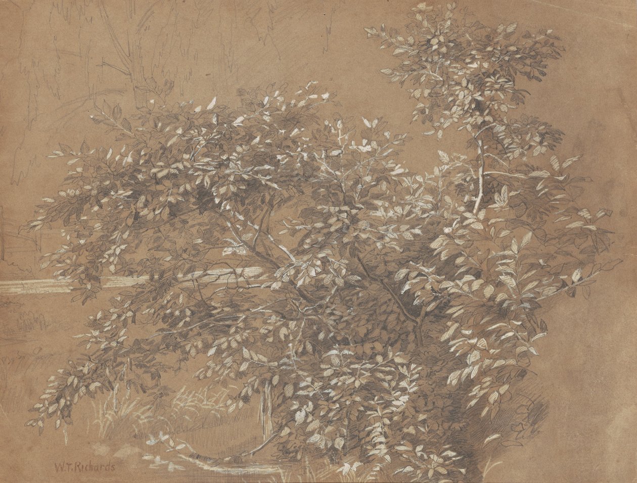 Løv af William Trost Richards