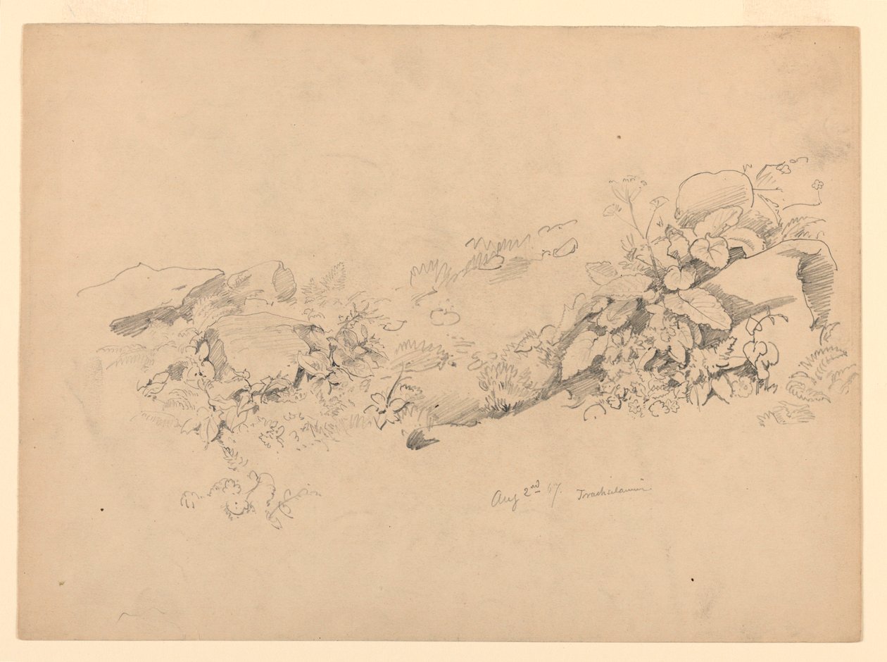 Undersøgelse af løv, Trachselwald, Bern, Schweiz af William Trost Richards
