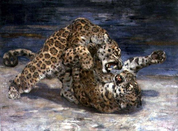 Leopards Fighting, ca. 1910 (olie på lærred) af William Walls