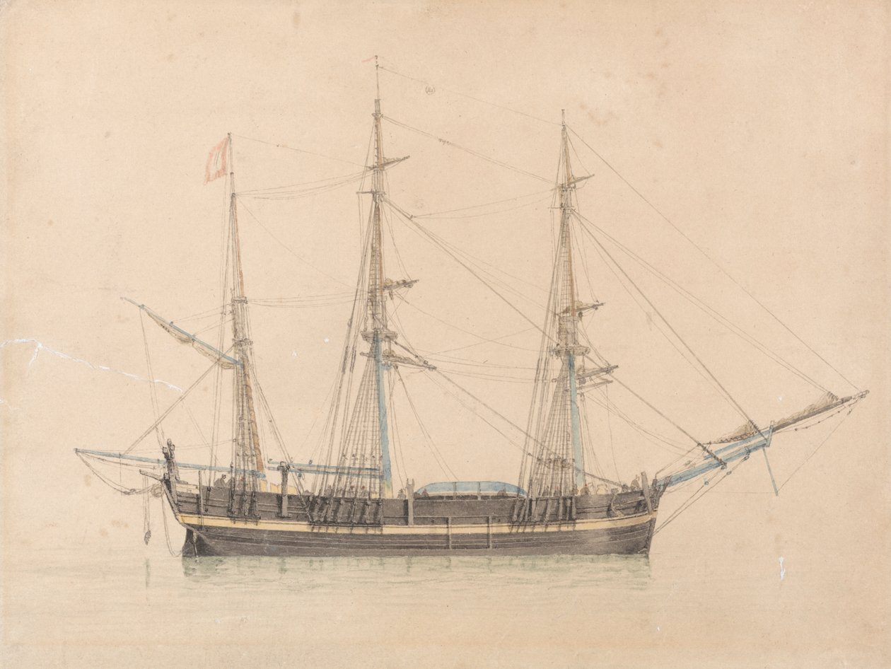 Hvalfangeren "Truelove" af Hull af William Ward