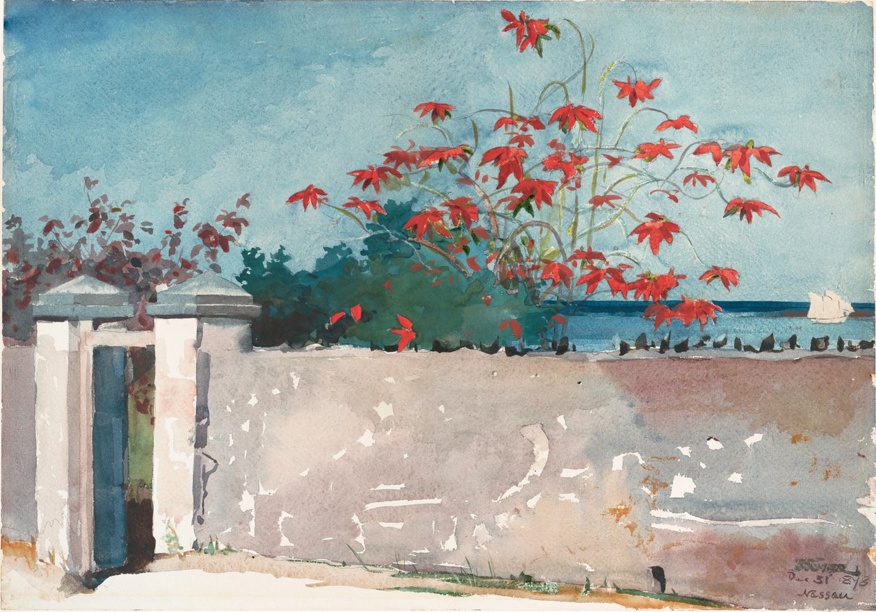 En mur, Nassau af Winslow Homer