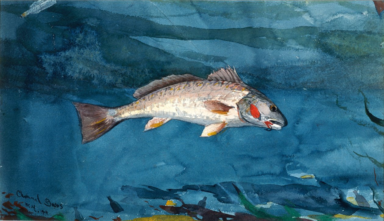 Kanalbas af Winslow Homer