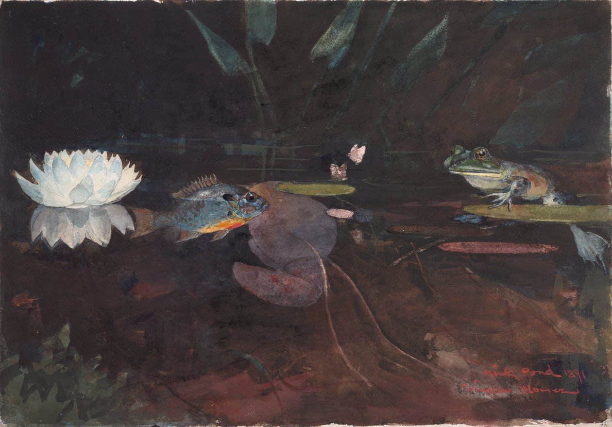 Mink Dam af Winslow Homer