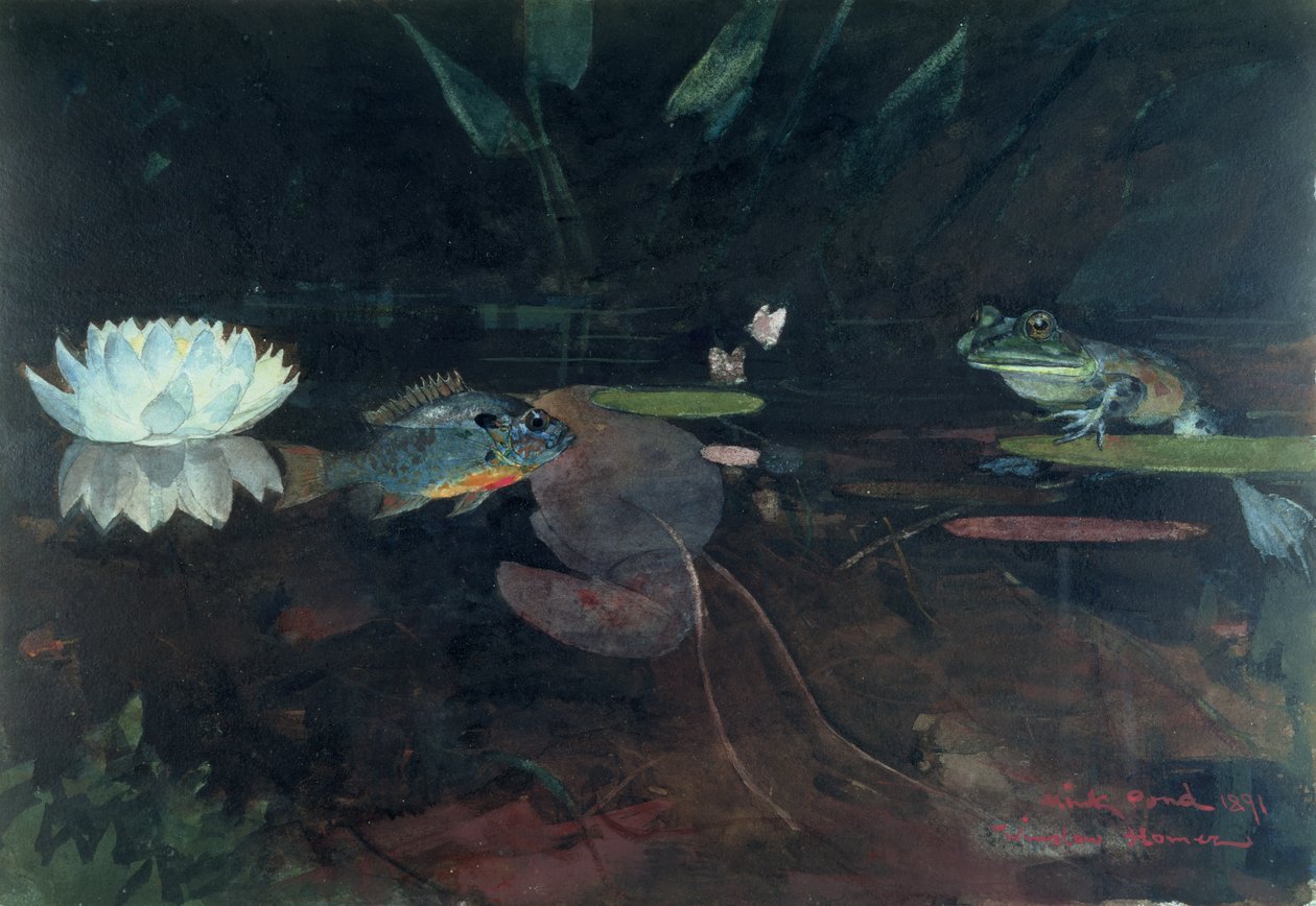 Mink Pond, 1891 (wc over grafit på papir) af Winslow Homer