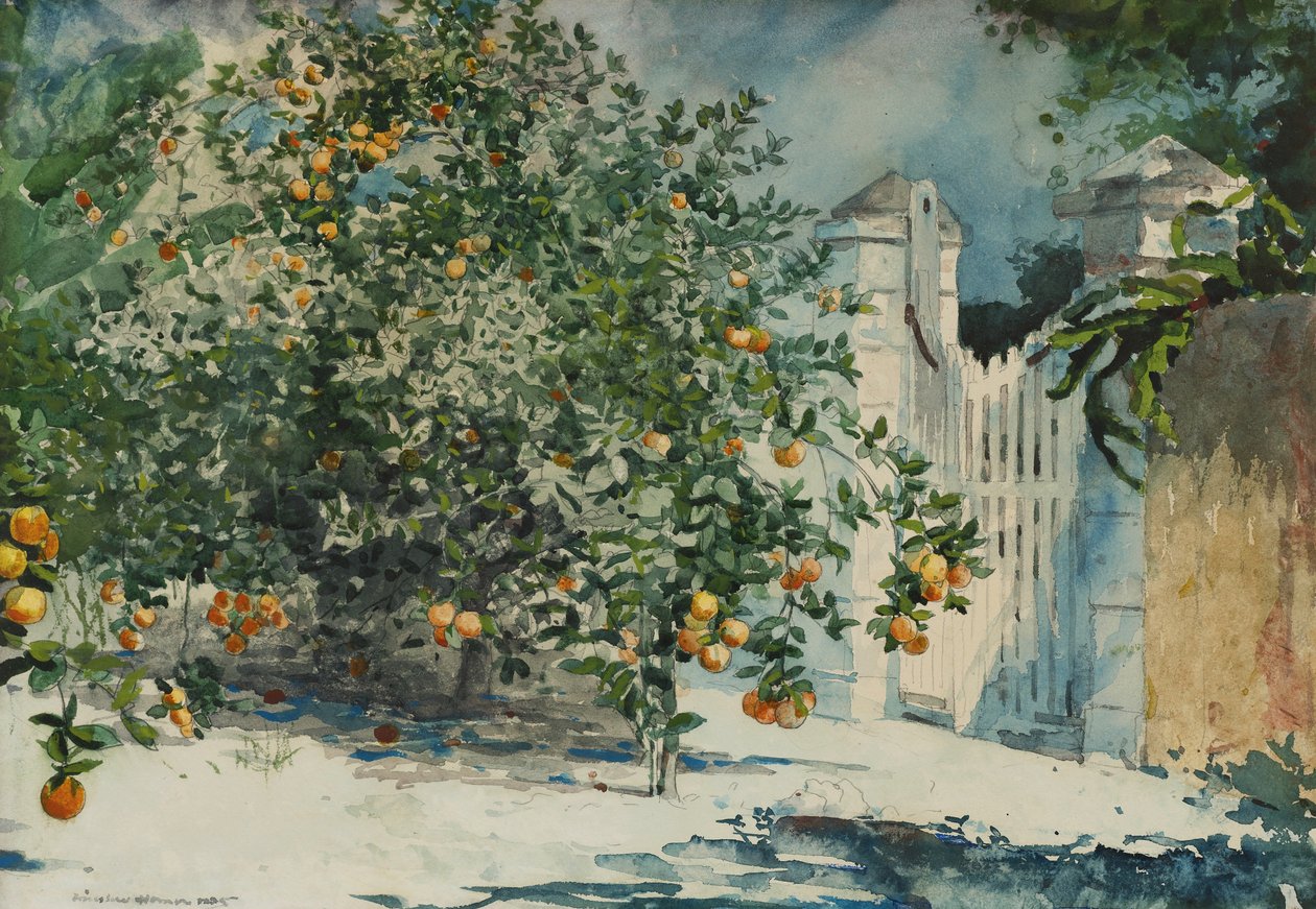 Appelsintræer og port af Winslow Homer
