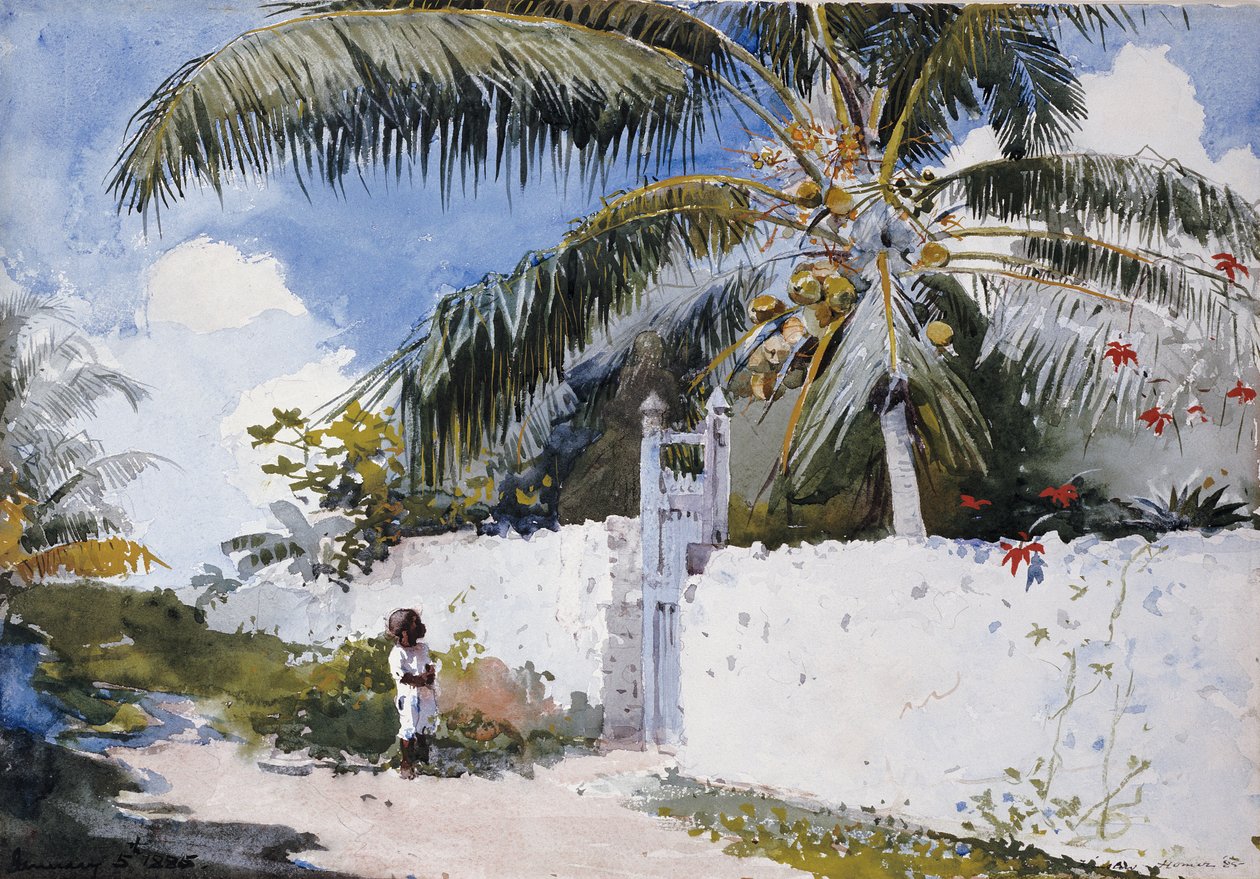 En have i Nassau, 1885 af Winslow Homer