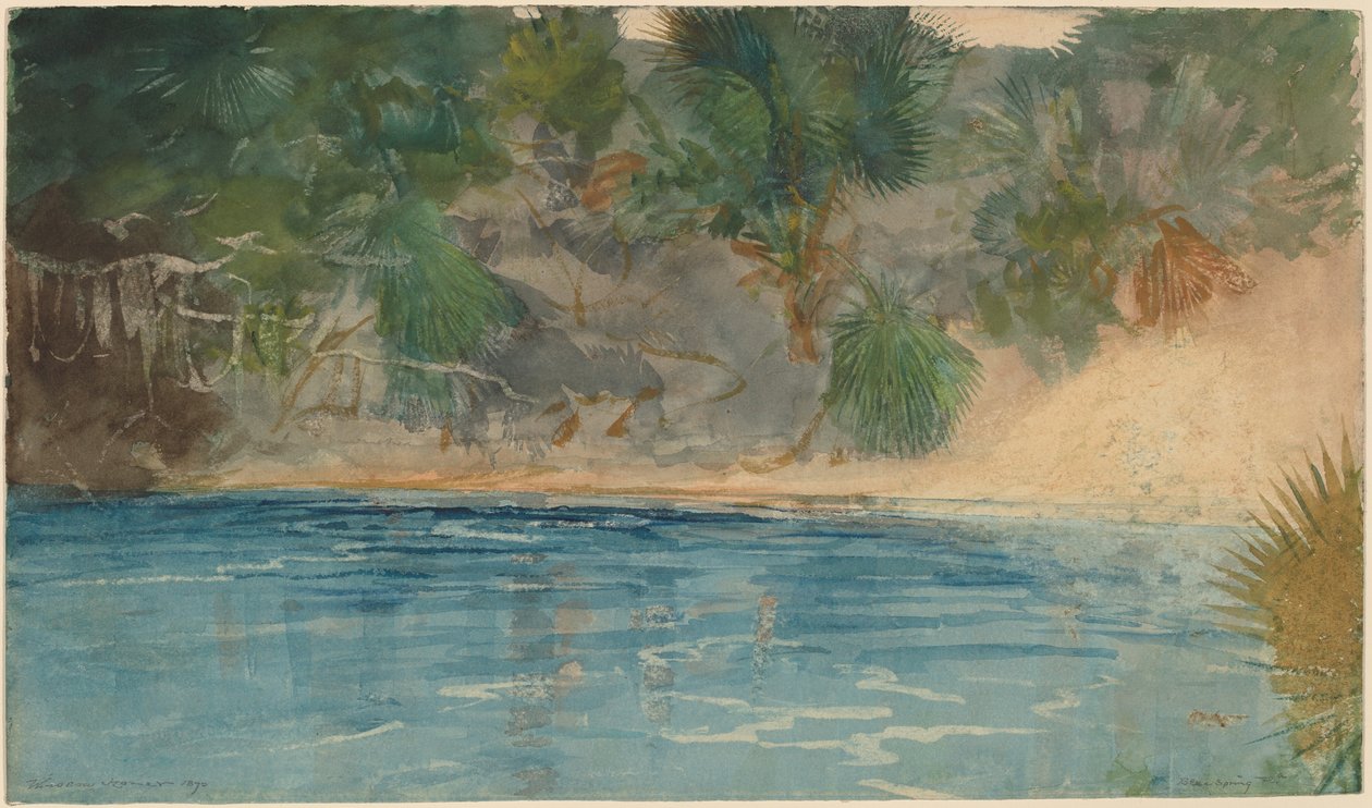 Blue Spring, Florida af Winslow Homer