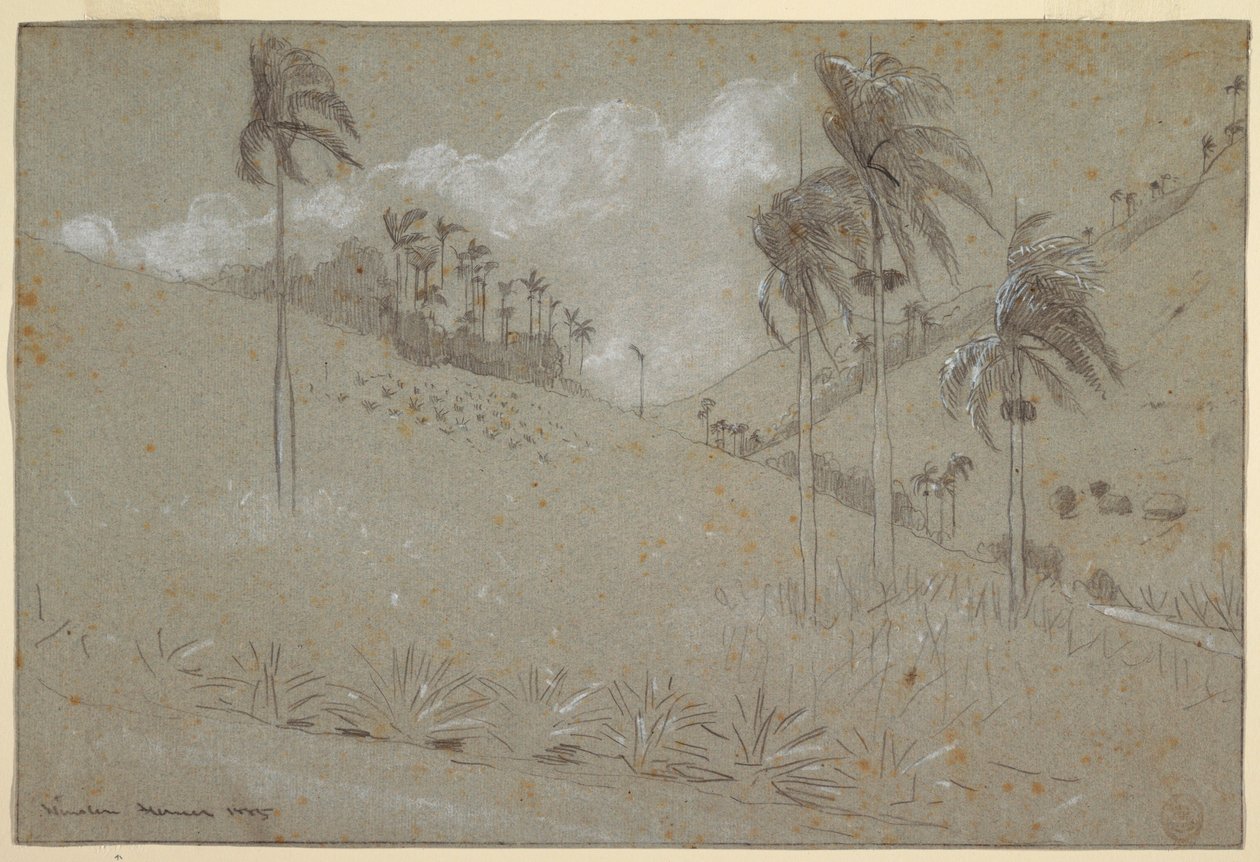 Tegning, cubansk bjergside, 1885 af Winslow Homer