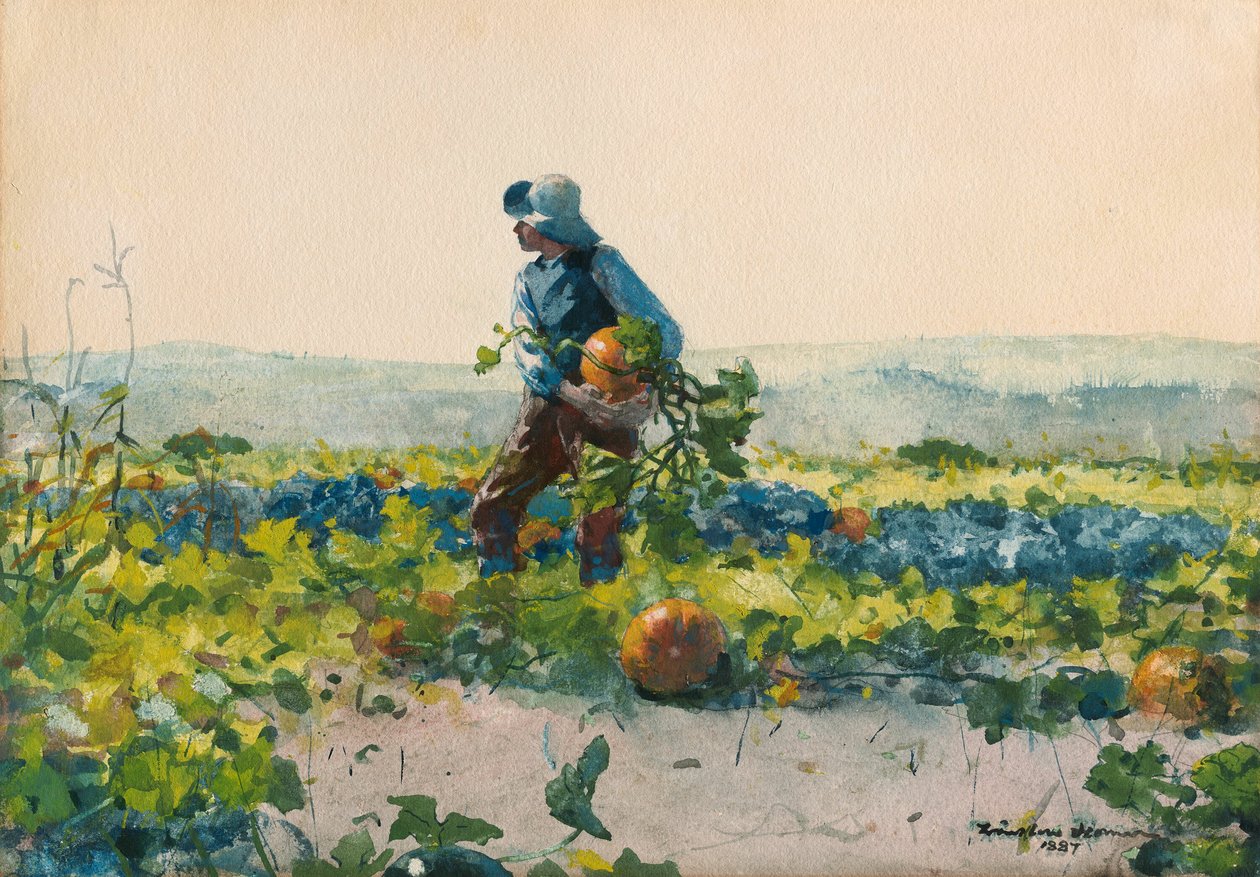 For at være en bondedreng af Winslow Homer