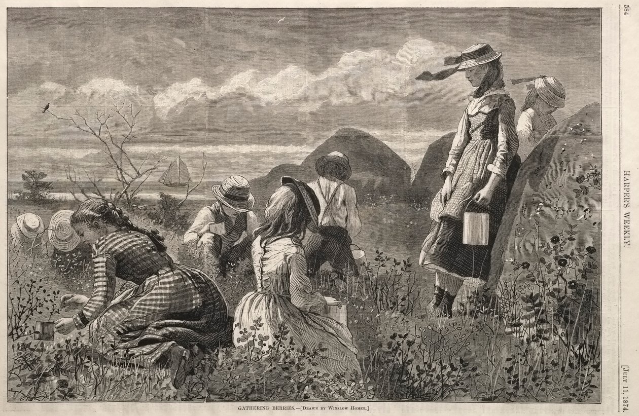 Indsamling af bær, 1874. af Winslow Homer