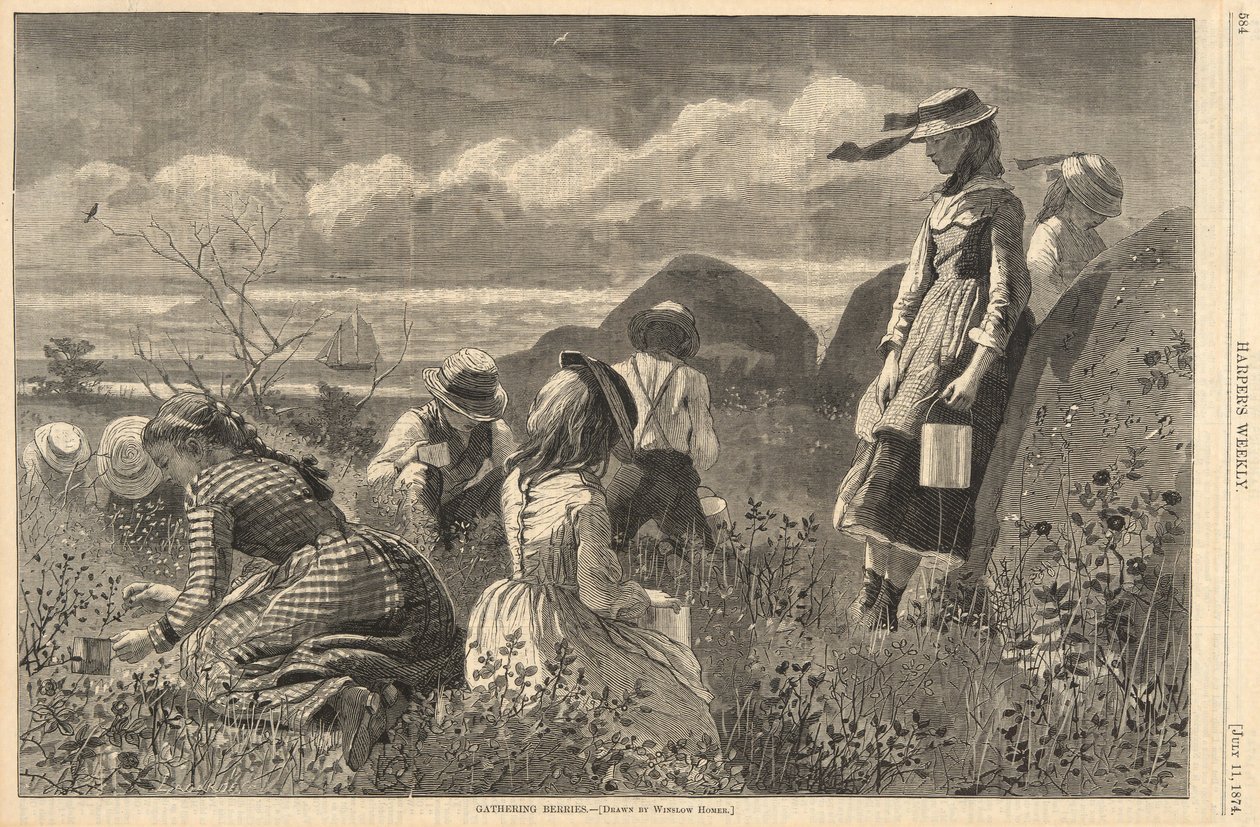 Gathering Berries, fra Harper af Winslow Homer