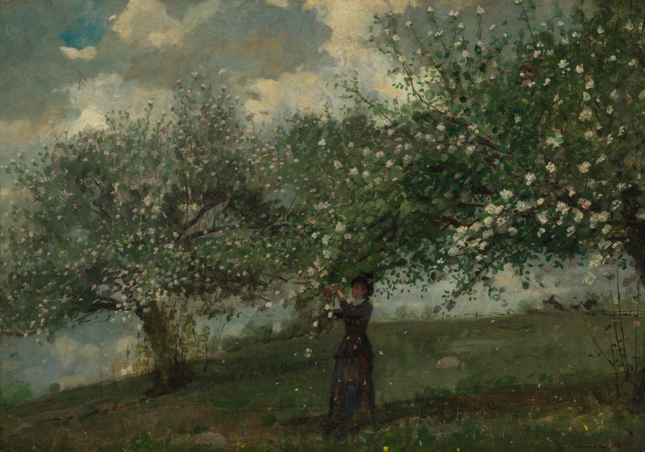 Pige plukker æbleblomster af Winslow Homer