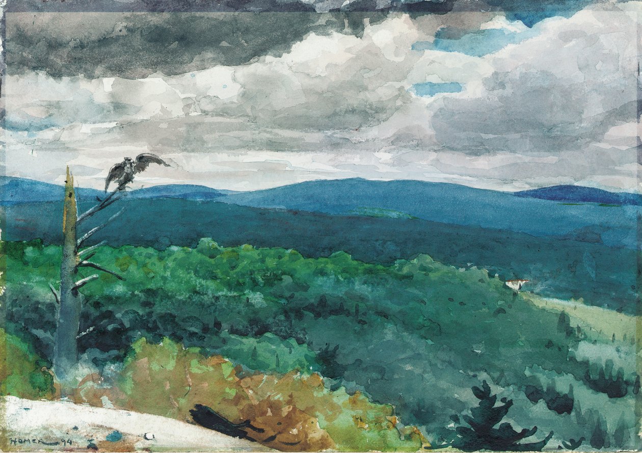 Bakket landskab, 1894 af Winslow Homer