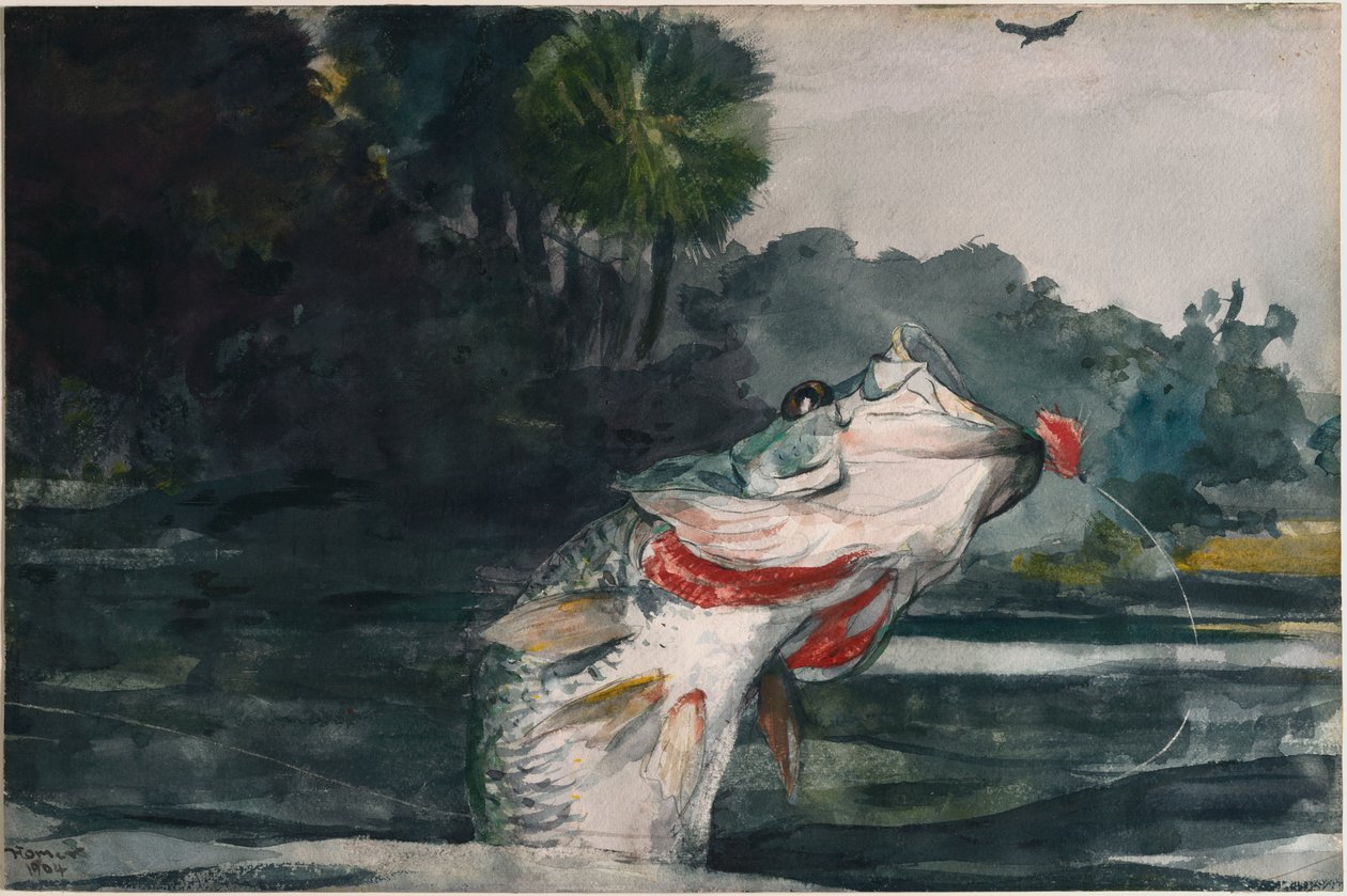 Sortaborre i naturlig størrelse af Winslow Homer