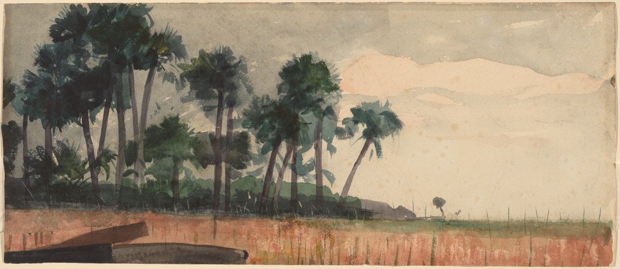 Palmer, røde, 1890. af Winslow Homer