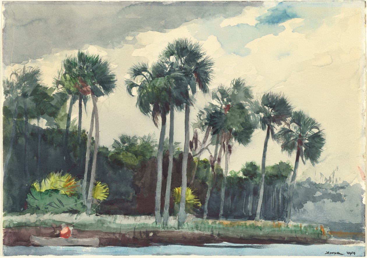 Rød skjorte, Homosassa, Florida, 1904. af Winslow Homer