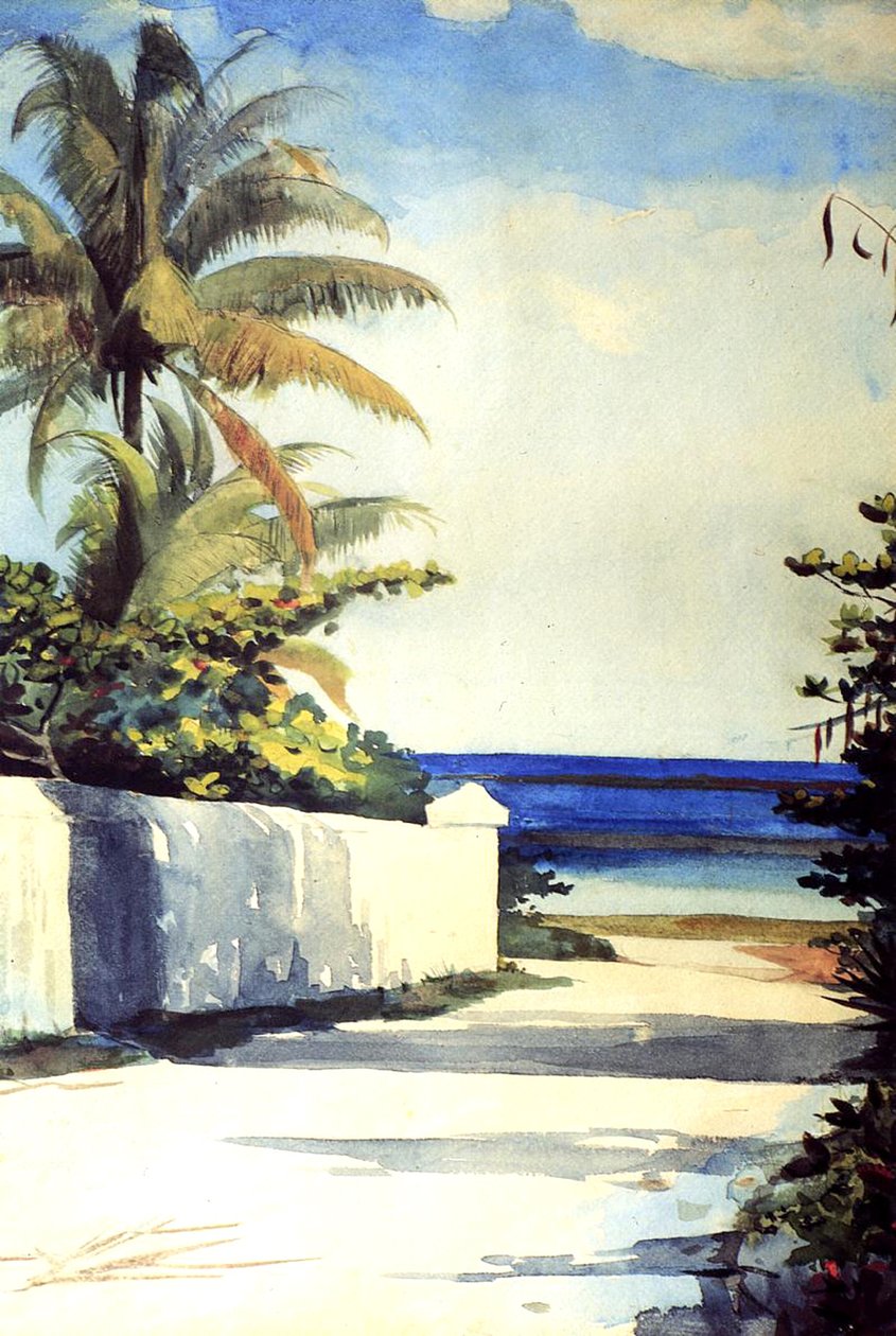 Vej i Nassau, 1898-99 af Winslow Homer